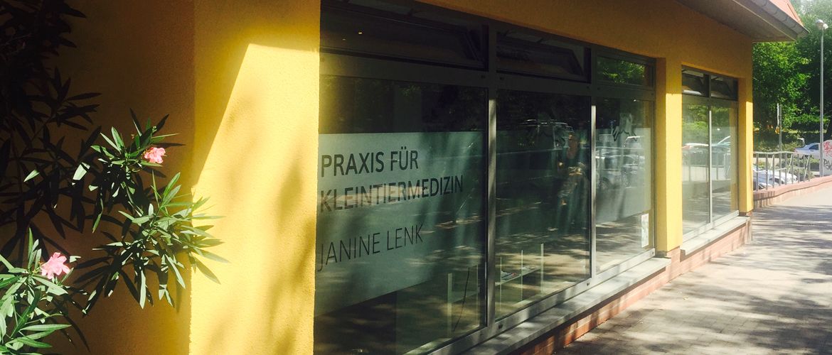 Tierarztpraxis Berlin Pankow