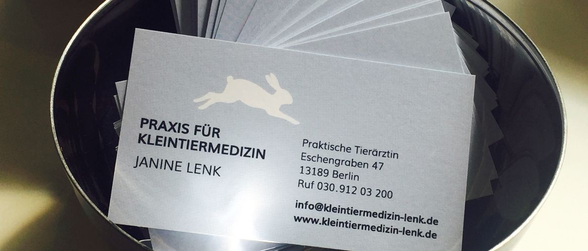 Tierarzt in Berlin Pankow